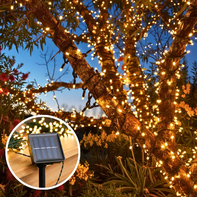 Fairy String Lights