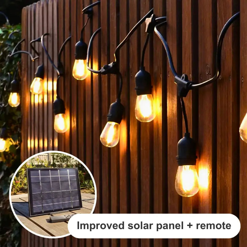 Festoon Lights