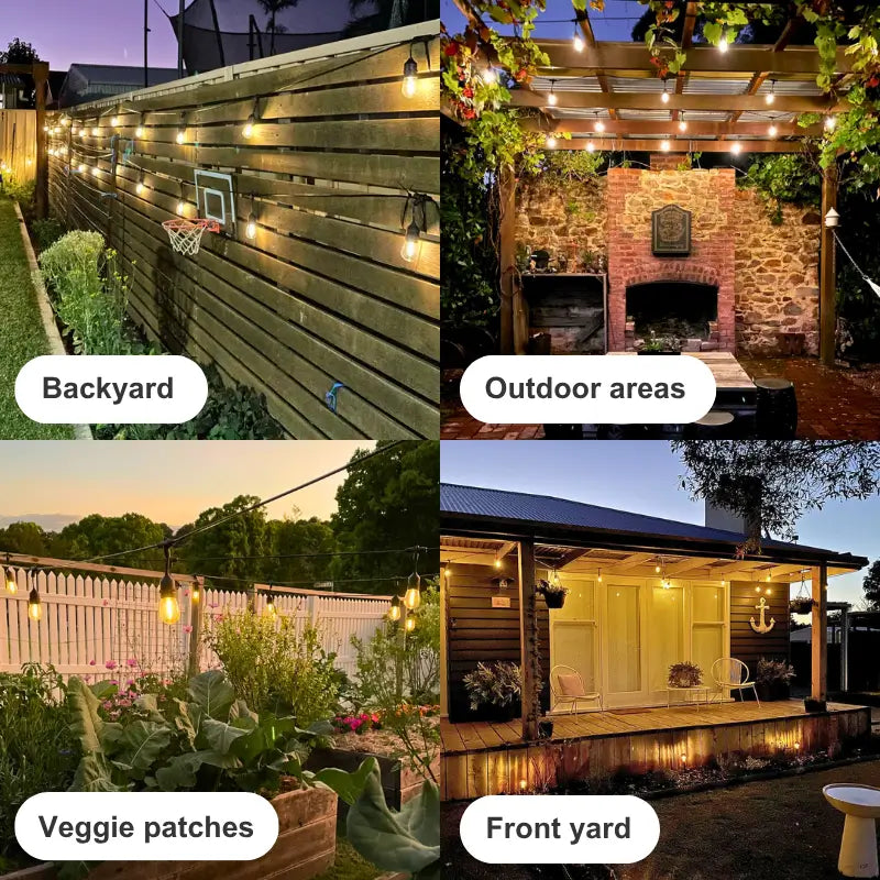 Festoon Lights