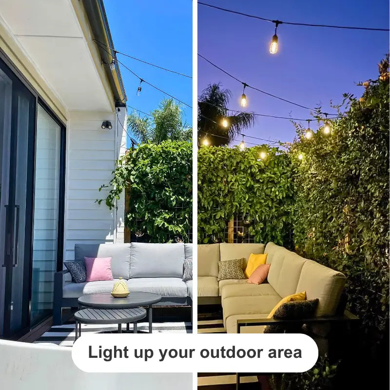 Festoon Lights
